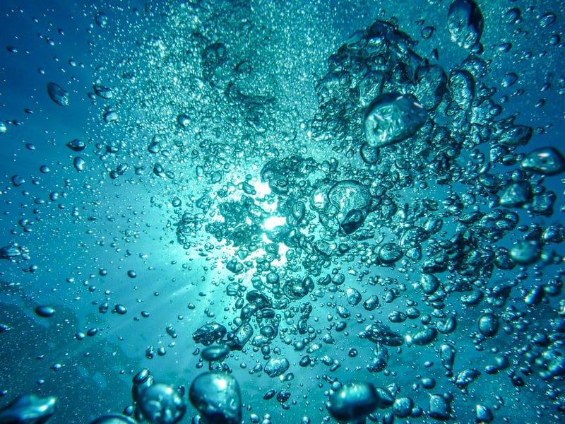 Diving Mask